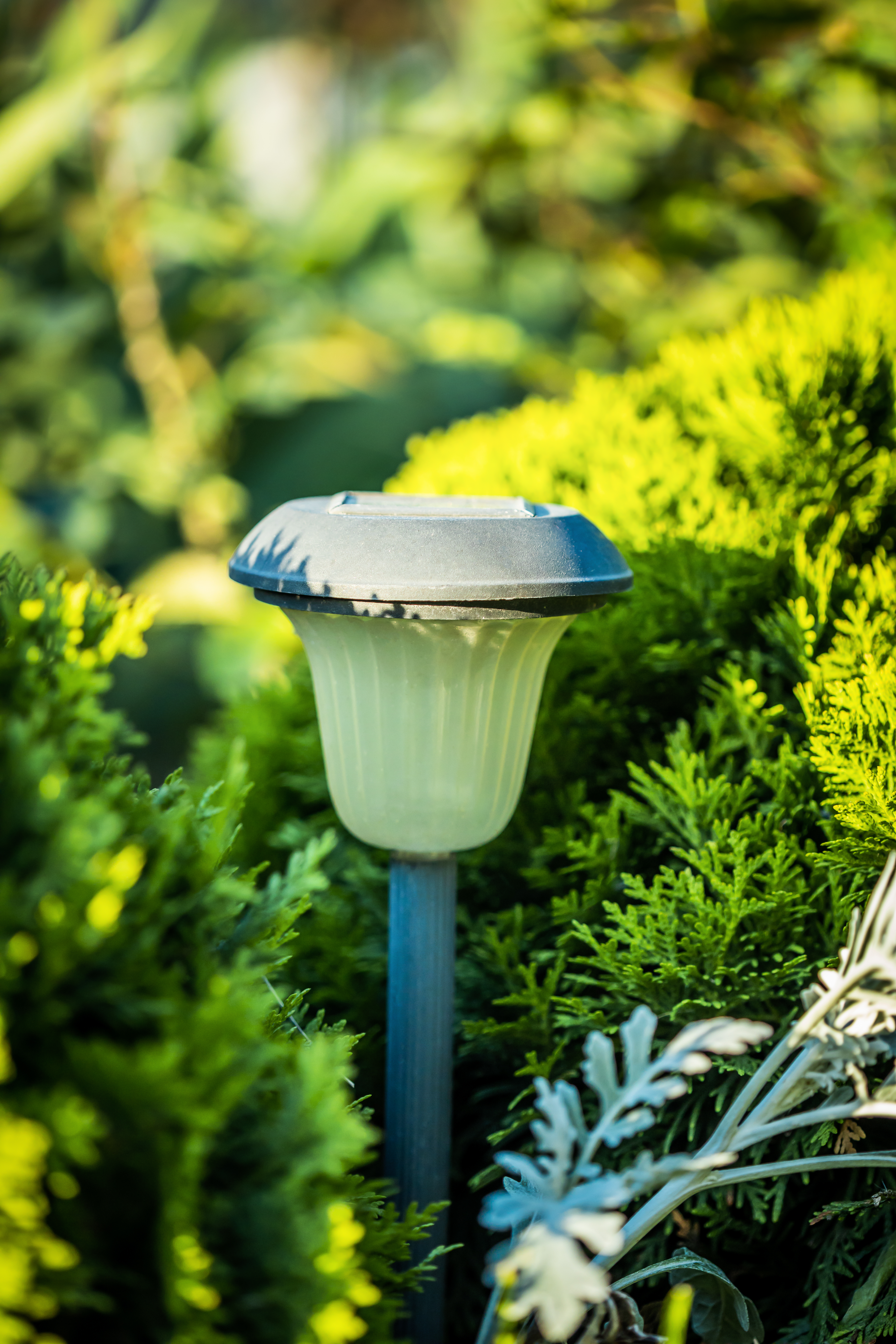 Walkway Lighting Installation