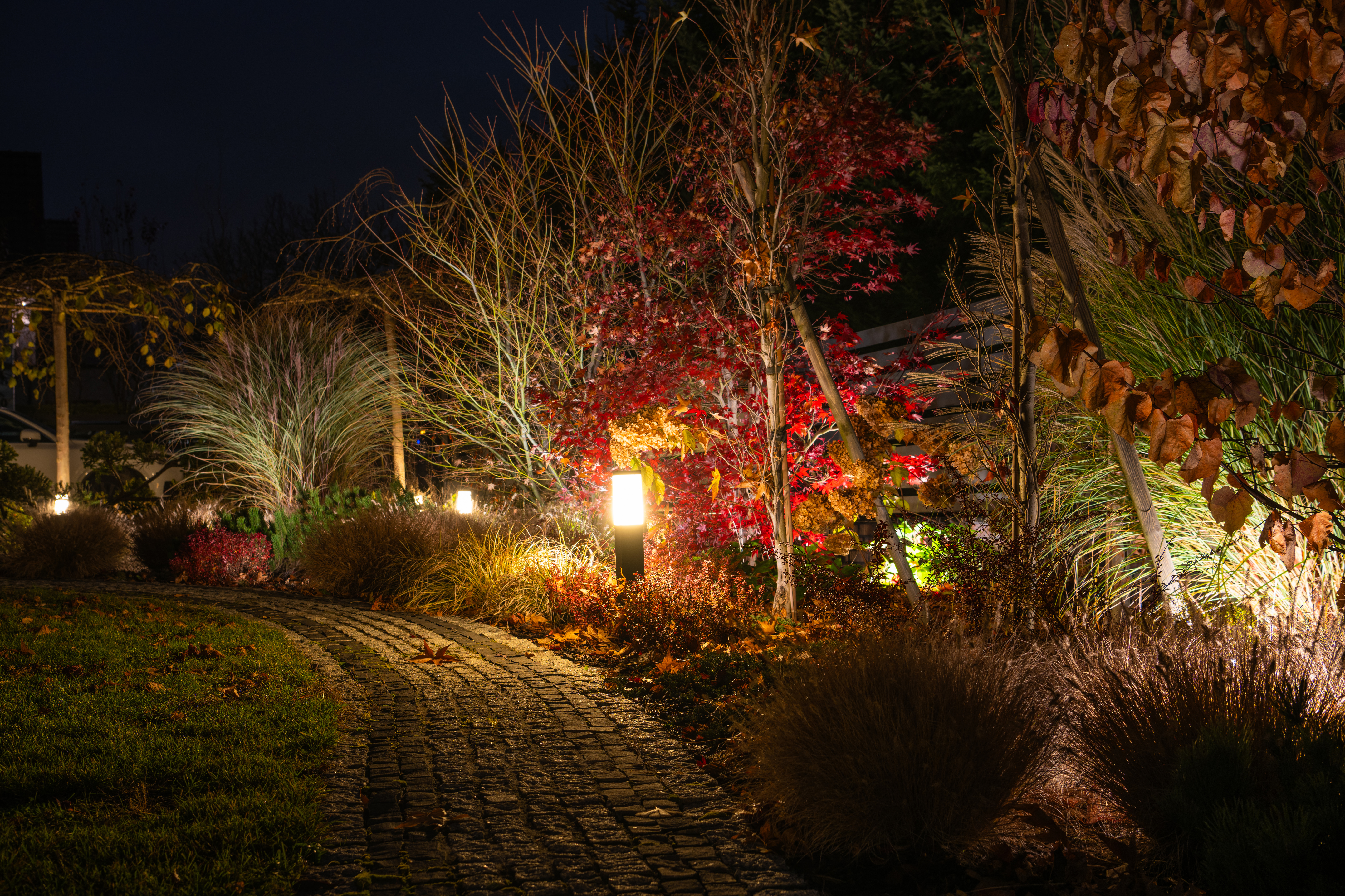 Front yard landscaping