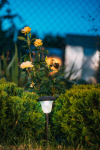 Walkway Lighting Installation