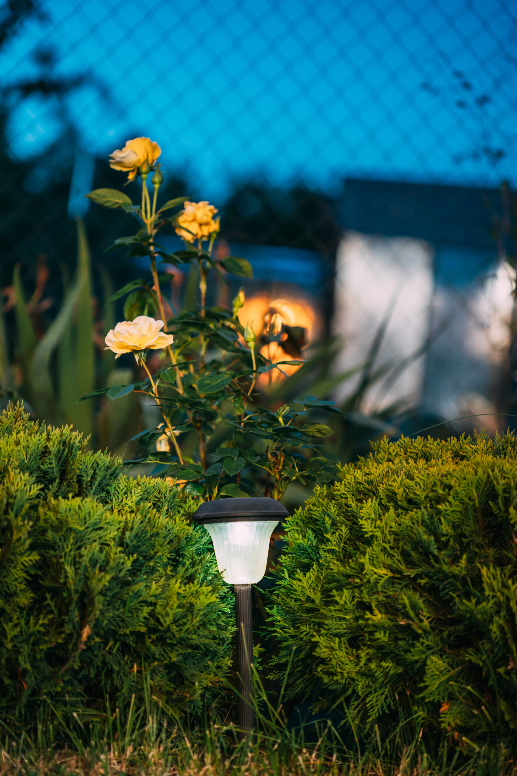 Walkway Lighting Installation